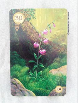 Celtic Lenormand Cartes Oracle présentation - Graine d'Eden review et présentation de cartes Oracle divinatoire et tarot divinatoire - La bibliothèque interactive des oracles divinatoires