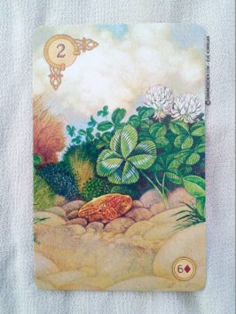 Celtic Lenormand Cartes Oracle présentation - Graine d'Eden review et présentation de cartes Oracle divinatoire et tarot divinatoire - La bibliothèque interactive des oracles divinatoires