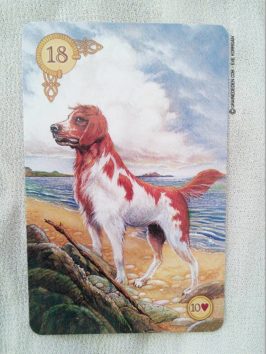 Celtic Lenormand Cartes Oracle présentation - Graine d'Eden review et présentation de cartes Oracle divinatoire et tarot divinatoire - La bibliothèque interactive des oracles divinatoires