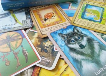 Animal Totem et médecine animale - quels sont les différents oracles divinatoires et comment bien choisir - Rêver de votre animal Totem - Les cartes médecines - Messages de votre animal Totem - Le langage secret des animaux - Graine d'Eden Review et cours de tarot et oracle divinatoires