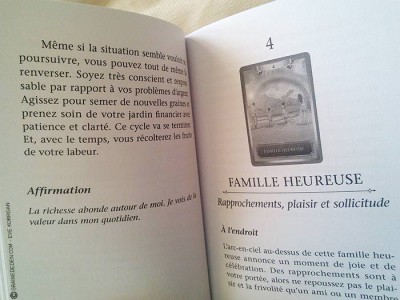 Cartes oracle de l'énergie de Sandra Anne Taylor présentation - Graine d'Eden présentation et review oracle divinatoire et tarot divinatoire - La bibliothèque interactive des Oracles divinatoires