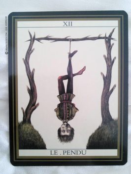 Le tarot noir de Matthieu Hackière et Justine Ternel - Tarot de Marseille divinatoire - Review et présentation de tarot de marseille et divinatoire - Graine d'Eden review cours tarots et oracle divinatoires