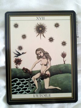 Le tarot noir de Matthieu Hackière et Justine Ternel - Tarot de Marseille divinatoire - Review et présentation de tarot de marseille et divinatoire - Graine d'Eden review cours tarots et oracle divinatoires