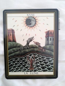 Le tarot noir de Matthieu Hackière et Justine Ternel - Tarot de Marseille divinatoire - Review et présentation de tarot de marseille et divinatoire - Graine d'Eden review cours tarots et oracle divinatoires