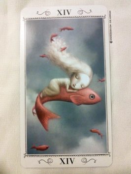 Nicoletta Ceccoli Tarot présentation et review de tarot divinatoire - Graine d'Eden La bibliothèque des Tarots divinatoires