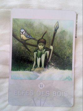 L'Oracle des esprits de la nature de Loan Miège - Présentation oracle divinatoire, tarot divinatoire, développement personnel - Graine d'Eden La bibliothèque des Oracles