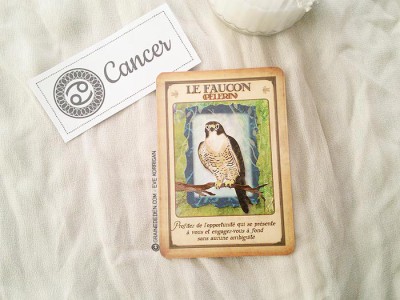 Tarot divinatoire oracle divinatoire- horoscope 2016 pour tous les signes astrologiques. Animal Totem, tarot de Marseille et Rider-Waite, l'horoscope 2016 - Graine d'Eden