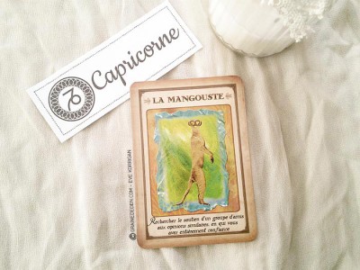 Tarot divinatoire oracle divinatoire- horoscope 2016 pour tous les signes astrologiques. Animal Totem, tarot de Marseille et Rider-Waite, l'horoscope 2016 - Graine d'Eden