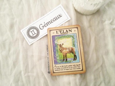 Tarot divinatoire oracle divinatoire- horoscope 2016 pour tous les signes astrologiques. Animal Totem, tarot de Marseille et Rider-Waite, l'horoscope 2016 - Graine d'Eden