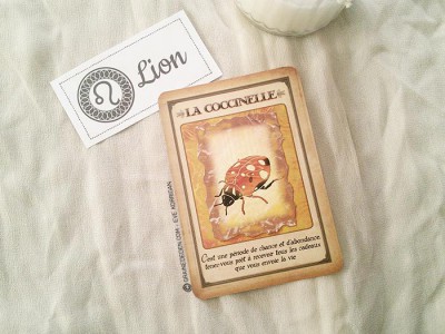 Tarot divinatoire oracle divinatoire- horoscope 2016 pour tous les signes astrologiques. Animal Totem, tarot de Marseille et Rider-Waite, l'horoscope 2016 - Graine d'Eden