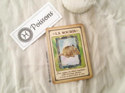 Tarot divinatoire oracle divinatoire- horoscope 2016 pour tous les signes astrologiques. Animal Totem, tarot de Marseille et Rider-Waite, l'horoscope 2016 - Graine d'Eden