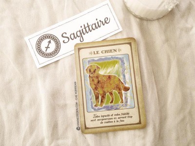 Tarot divinatoire oracle divinatoire- horoscope 2016 pour tous les signes astrologiques. Animal Totem, tarot de Marseille et Rider-Waite, l'horoscope 2016 - Graine d'Eden