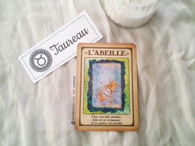 Tarot divinatoire oracle divinatoire- horoscope 2016 pour tous les signes astrologiques. Animal Totem, tarot de Marseille et Rider-Waite, l'horoscope 2016 - Graine d'Eden