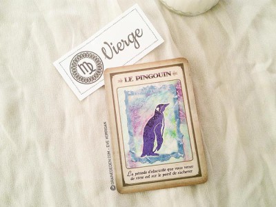 Tarot divinatoire oracle divinatoire- horoscope 2016 pour tous les signes astrologiques. Animal Totem, tarot de Marseille et Rider-Waite, l'horoscope 2016 - Graine d'Eden