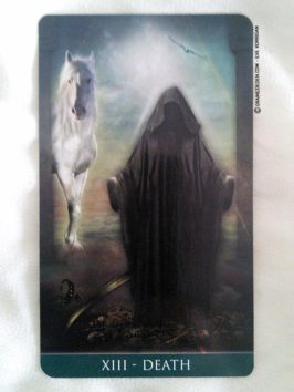 Thelema Tarot deck de Renata Lechner - Présentation et review de Tarot divinatoire - Graine d'Eden