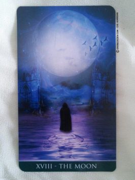 Thelema Tarot deck de Renata Lechner - Présentation et review de Tarot divinatoire - Graine d'Eden