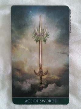 Thelema Tarot deck de Renata Lechner - Présentation et review de Tarot divinatoire - Graine d'Eden