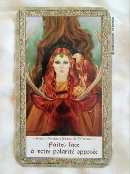 Les cartes Les Esprits des sites Sacrés de Cheryl Yambrach Rose - Graine d'Eden Présentation Oracle divinatoire et Tarot divinatoire