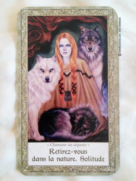 Les cartes Les Esprits des sites Sacrés de Cheryl Yambrach Rose - Graine d'Eden Présentation Oracle divinatoire et Tarot divinatoire