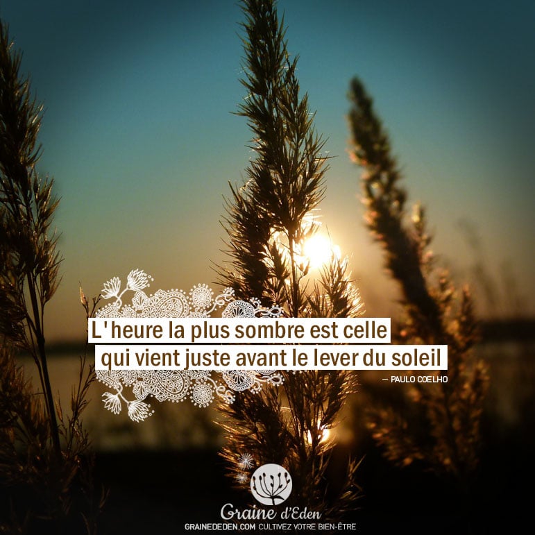 L'heure la plus sombre est celle qui vient juste avant le lever du soleil. PAULO COELHO - Graine d'Eden Citation