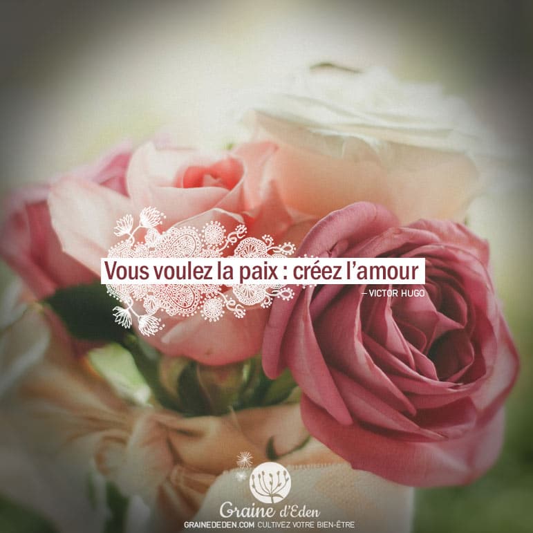 Vous voulez la paix : créez l'amour. VICTOR HUGO - Graine d'Eden Citation