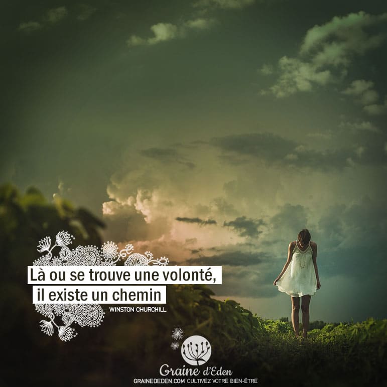 Là où se trouve une volonté, il existe un chemin. WINSTON CHURCHILL - Graine d'Eden Citation