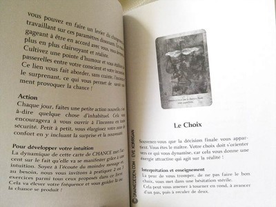 Cartes Les Portes de l'Intuition de Mielczareck et Brigitte Barberane - Review et présentation de cartes oracle - Graine d'Eden - Développement personnel, spiritualité, guidance, oracles et tarots divinatoires