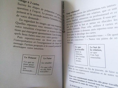 Cartes Les Portes de l'Intuition de Mielczareck et Brigitte Barberane - Review et présentation de cartes oracle - Graine d'Eden - Développement personnel, spiritualité, guidance, oracles et tarots divinatoires