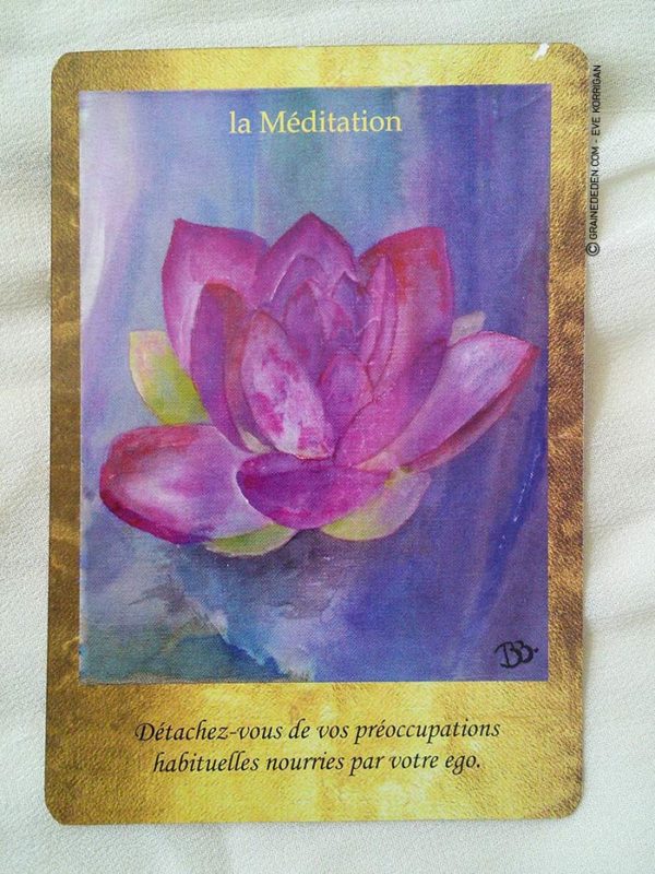 Cartes Les Portes de l'Intuition de Mielczareck et Brigitte Barberane - Review et présentation de cartes oracle - Graine d'Eden - Développement personnel, spiritualité, guidance, oracles et tarots divinatoires