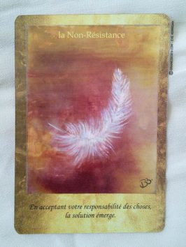 Cartes Les Portes de l'Intuition de Mielczareck et Brigitte Barberane - Review et présentation de cartes oracle - Graine d'Eden - Développement personnel, spiritualité, guidance, oracles et tarots divinatoires