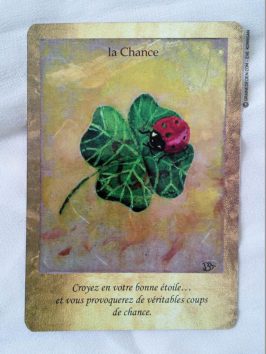 Cartes Les Portes de l'Intuition de Mielczareck et Brigitte Barberane - Review et présentation de cartes oracle - Graine d'Eden - Développement personnel, spiritualité, guidance, oracles et tarots divinatoires