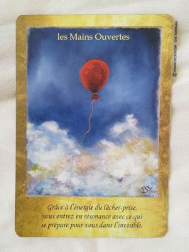 Cartes Les Portes de l'Intuition de Mielczareck et Brigitte Barberane - Review et présentation de cartes oracle - Graine d'Eden - Développement personnel, spiritualité, guidance, oracles et tarots divinatoires