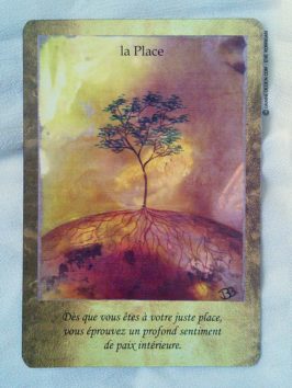 Cartes Les Portes de l'Intuition de Mielczareck et Brigitte Barberane - Review et présentation de cartes oracle - Graine d'Eden - Développement personnel, spiritualité, guidance, oracles et tarots divinatoires