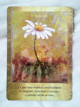 Cartes Les Portes de l'Intuition de Mielczareck et Brigitte Barberane - Review et présentation de cartes oracle - Graine d'Eden - Développement personnel, spiritualité, guidance, oracles et tarots divinatoires