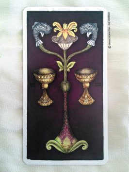 Le Tarot de Marseille par Pole-Ka - Présentation et review de Tarot divinatoire - Graine d'Eden