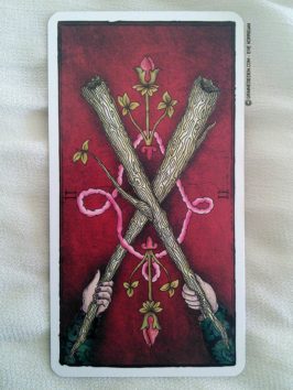 Le Tarot de Marseille par Pole-Ka - Présentation et review de Tarot divinatoire - Graine d'Eden