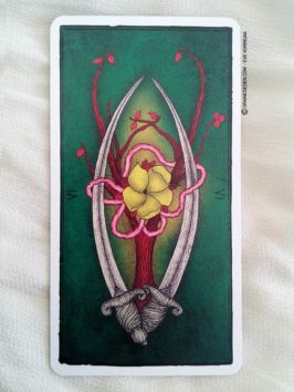 Le Tarot de Marseille par Pole-Ka - Présentation et review de Tarot divinatoire - Graine d'Eden