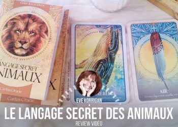 Les cartes Oracle le langage secret des animaux de Chip Richards - Graine d'Eden review et présentation de cartes oracle divinatoire, de tarot divinatoire.