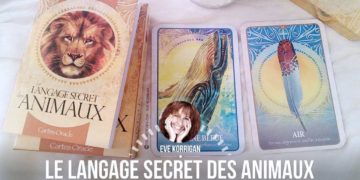 Les cartes Oracle le langage secret des animaux de Chip Richards - Graine d'Eden review et présentation de cartes oracle divinatoire, de tarot divinatoire.