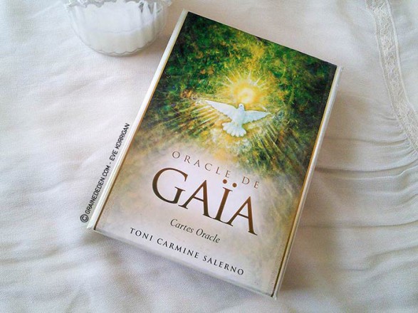 Review Oracle de Gaïa de Toni Carmine Salerno