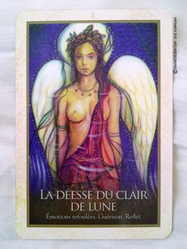 Oracle de Gaïa de Toni Carmine Salerno - Review et présentation de cartes oracle - Graine d'Eden - Développement personnel, spiritualité, guidance, oracles et tarots divinatoires