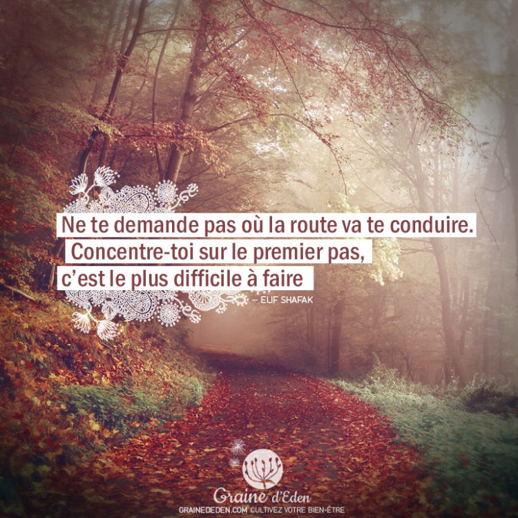 Ne te demande pas où la route va te conduire. Concentre-toi sur le premier pas, c'est le plus difficile à faire. ELIF SHAFAK - Graine d'Eden citation
