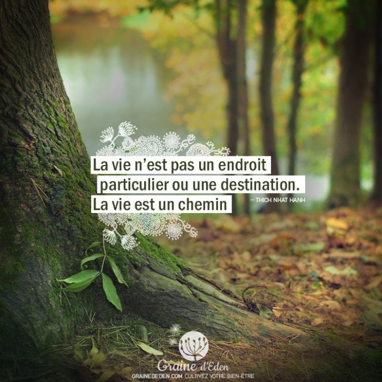 La vie n'est pas un endroit particulier ou une destination. La vie est un chemin. THICH NHAT HANH - Graine d'Eden Citation