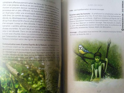 A la rencontre des Esprits de la Nature de Loan Miège - Review et présentation de livres- Graine d'Eden - Développement personnel, spiritualité, guidance, livres, oracles et tarots divinatoires