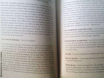 A la rencontre des Esprits de la Nature de Loan Miège - Review et présentation de livres- Graine d'Eden - Développement personnel, spiritualité, guidance, livres, oracles et tarots divinatoires