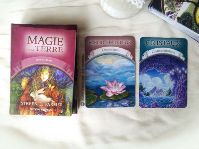 Cartes Oracle Magie de la Terre de Steven D. Farmer - Review et présentation de cartes oracle - Graine d'Eden - Développement personnel, spiritualité, guidance, oracles et tarots divinatoires