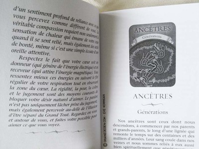 Cartes Oracle Magie de la Terre de Steven D. Farmer - Review et présentation de cartes oracle - Graine d'Eden - Développement personnel, spiritualité, guidance, oracles et tarots divinatoires