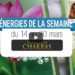 14 au 20 mars - Votre énergie de la semaine - Quelle sera votre énergie cette semaine - Graine d'Eden tarot et oracle divinatoires - Oracle des Chakras.