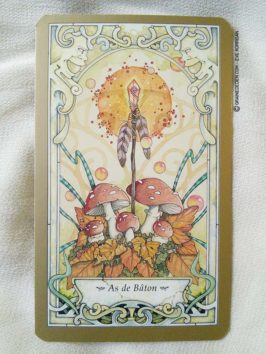 Le Tarot Ésotérique du Monde des Fées de Linda Ravenscroft - Review et présentation de Tarots divinatoires - Graine d'Eden - Développement personnel, spiritualité, guidance, oracles et tarots divinatoires