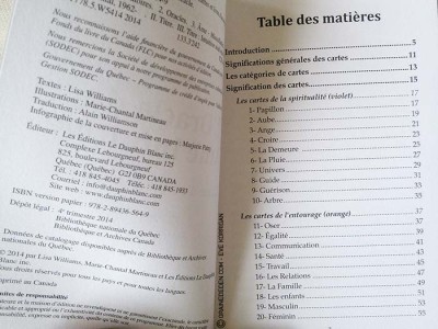 L'Oracle de l'âme intuitive de Lisa Williams - Review et présentation de cartes oracle - Graine d'Eden - Développement personnel, spiritualité, guidance, oracles et tarots divinatoires